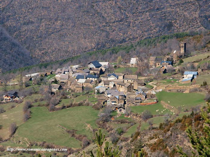 CASER&Iacute;O DE ASIN DE BROTO